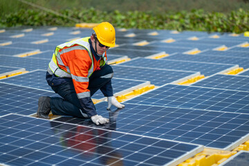 Solar Field Technician Examining Panel Efficiency