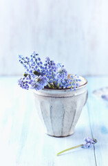 Purple flowers on bright wooden background. Close up. Copy space.