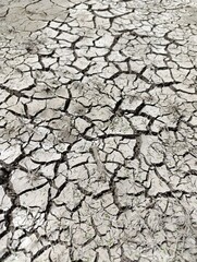 drought and global warming. cracked wall of a dry lake.