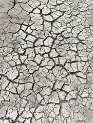 drought and global warming. cracked wall of a dry lake.