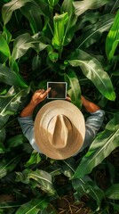 Farmer using tablet in corn field.
