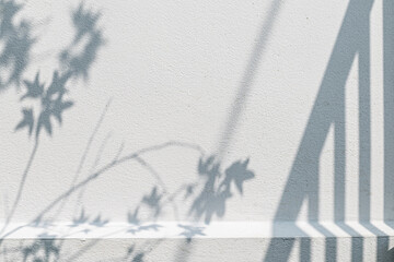 Leaf maple shadow on wall. Nature tropical leaves tree branch and plant shade with sunlight ,wall...