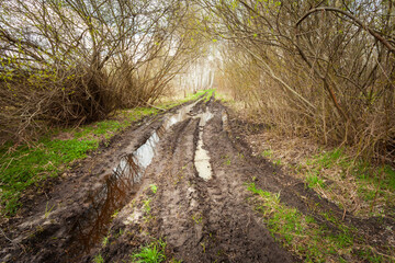 Muddy road in the bush, April view in eastern Poland