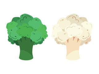 Cauliflower and broccoli set. Delicious and healthy vegetables. Vegetarianism. Vector illustration isolated on a white background for design and web.