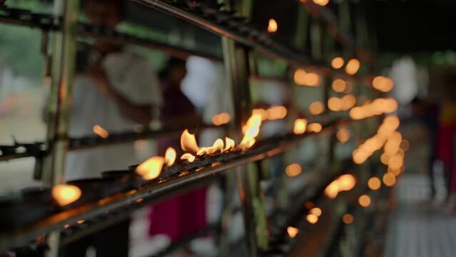 Rows of oil lamps burn brightly in sacred Buddhist temple. Devotees offer prayers, light flames as ritual in Kandy. Spiritual ambiance, religious devotion in serene holy place. Slow motion.