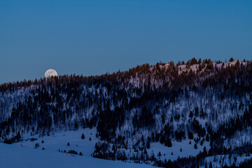 Moon rise in winter over a snow and forested ridge