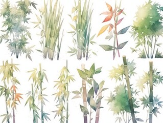 bamboo leaf plants watercolor, white background