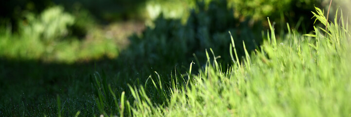 Gartenbau Banner zeigt freigestelltes Grasfeld im grünen Frühlingsgarten mit detaillierten...