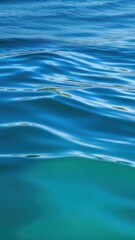 Naklejka premium Vertical shot, Waves on surface of blue water with sun rays. Natural background with sun glints on surface of blue water. Texture of blue water surface. caustic texture. Blue water in slow motion