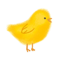 yellow easter chicken