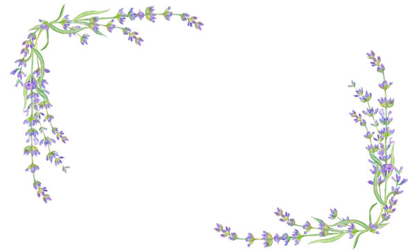 Purple lavender flower in Watercolor. Floral  corner border for invitations, greeting and wedding cards