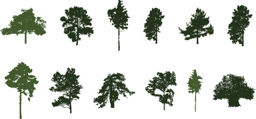 silhouette tree line drawing set, Side view, set of graphics trees elements outline symbol for architecture and landscape design drawing	