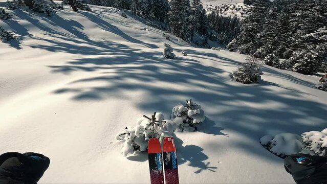 Freeride skiing down the untouched terrain of a remote mountain in wilderness. Riding in fresh powder snow