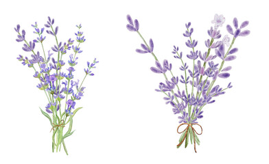 Obraz premium Bouquet lavender flowers in watercolor