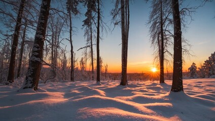 Fantastic winter landscape during sunset. colorful sky glowing by sunlight.