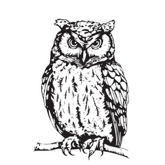 Hand Drawn Engraving Pen and Ink Owl Vintage