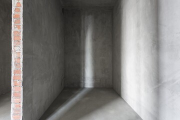 Obraz premium interior of the apartment without decoration in gray colors. rough finish