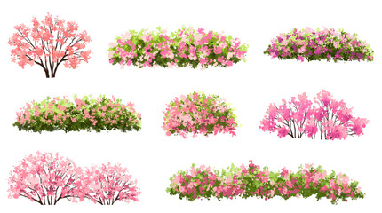 Vector watercolor blooming flower tree or forest side view isolated on white background for landscape and architecture drawing,elements for environment or and garden,shrub for section ,Set of floral