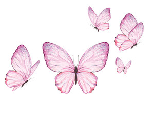 pink set butterfly pink art butterfly