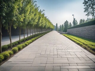 Background and Texture