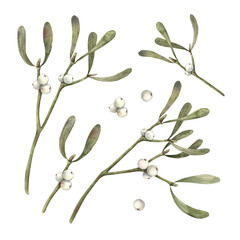 Set of mistletoe plants with white berries. Watercolor botanical illustration on isolated background. Illustration for greeting cards, holiday banners, wrapping paper, decor, Christmas decorations