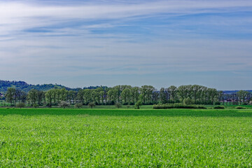 Fototapeta premium Beautiful spring fields of Bavaria