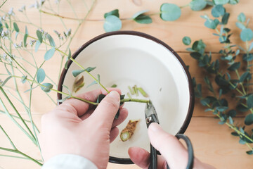 水の中で花をカットする┃cut flowers in water