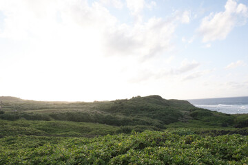 Fototapeta premium 空と緑の草原┃Sky and green grassland