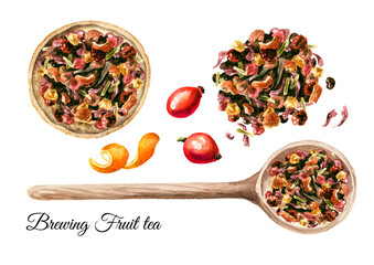 Fruit tea brewing set, top view.  Hand drawn watercolor illustration isolated on white background