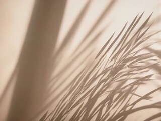 Obraz premium close up of grass