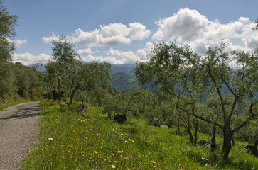 Panorama de Ligurie, Italie