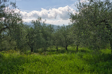 Panorama de Ligurie, Italie