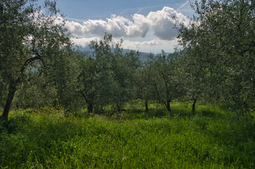 Panorama de Ligurie, Italie