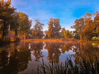 autumn trees reflected in water