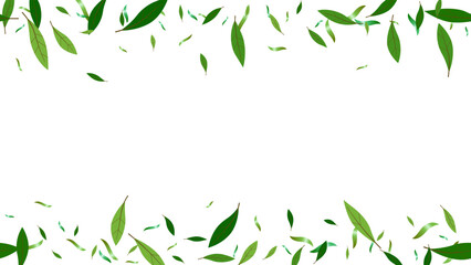 Leaf branch green fresh decoretion background, backdrop frame ecology concept