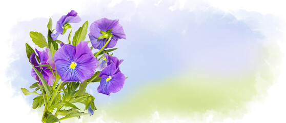 Blooming violet flowers on watercolor sky. Photo collage. Sping purple pansy blossom flowers flying on background of drawn landscape. Spring concept horizontal banner with copy space. Place for a text