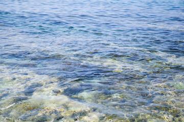 Sea Turtle Swimming across Crystal Sea Waters and Waves in Taiwan Xiaoliuqiu
