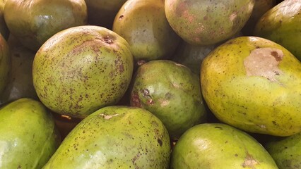 Close up pile of tasty fresh avocados sold at the market as a background.