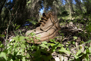 torn worn out shoe thrown in the forest while walking, poor quality shoes, damage