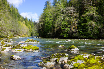 Scenic river flowing between forest with large boulders in water