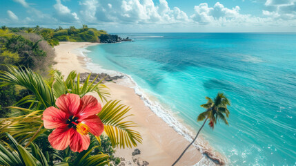Secluded tropical beach with clear blue waters, white sands, and vibrant flora.