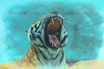 portrait of a tiger opened his mouth