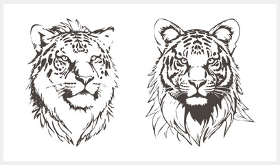 Sketch tiger tattoo isolated Animal clipart Vector stock illustration EPS 10