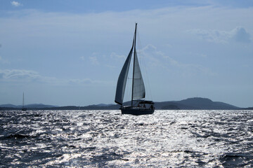 Obraz premium sailing boat near Murter, island Murter, Croatia