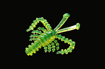 silicone fishing lures. fishing by spinning
