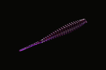 silicone baits for catching predatory fish