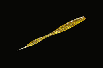 silicone baits for catching predatory fish