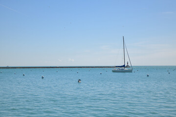 Fototapeta premium sailboat on the sea