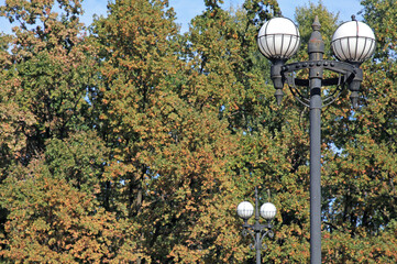 Cast-iron old-styled city lanterns with round glass shades in central park. Landscaping and decoration of city streets and public parks. Lighting poles in decorative forging on walking alley