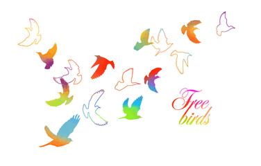 A flock of colored birds. hand drawing. Free birds. Not AI, Vector illustration